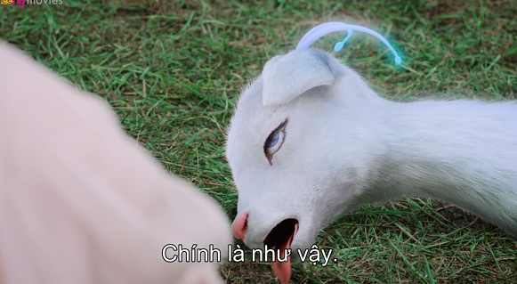 Phim Hương mật tựa khói sương tập 18-19-20: Húc Phượng hộc máu khi Cẩm Mịch mời cưới