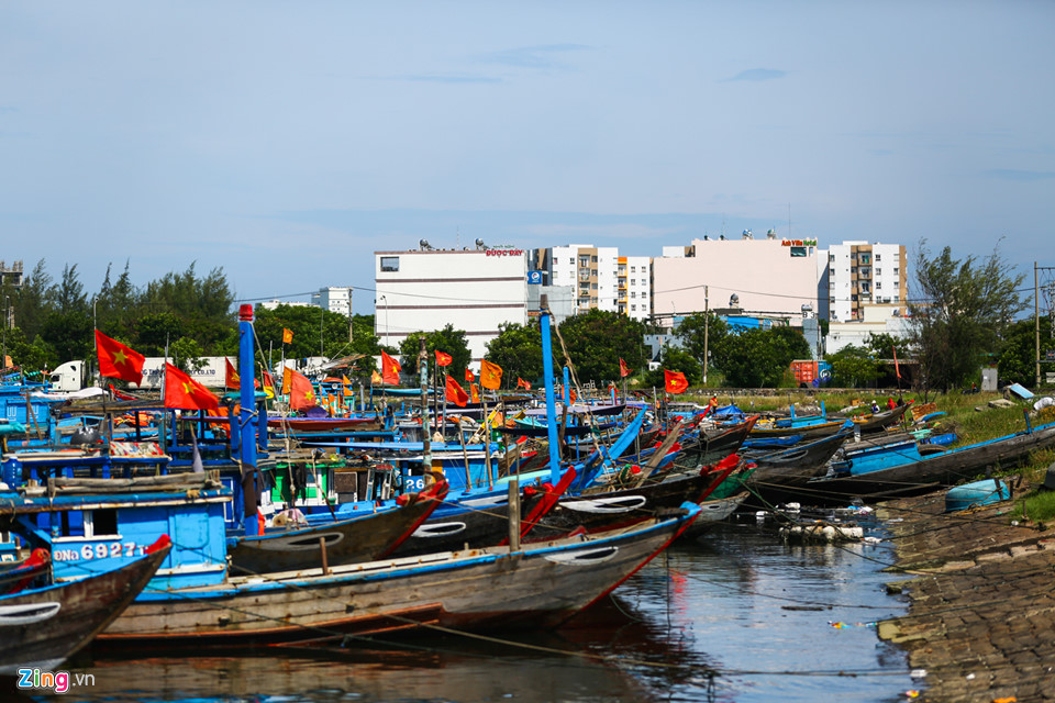 Cảng cá lớn nhất miền Trung nồng nặc mùi hôi thối