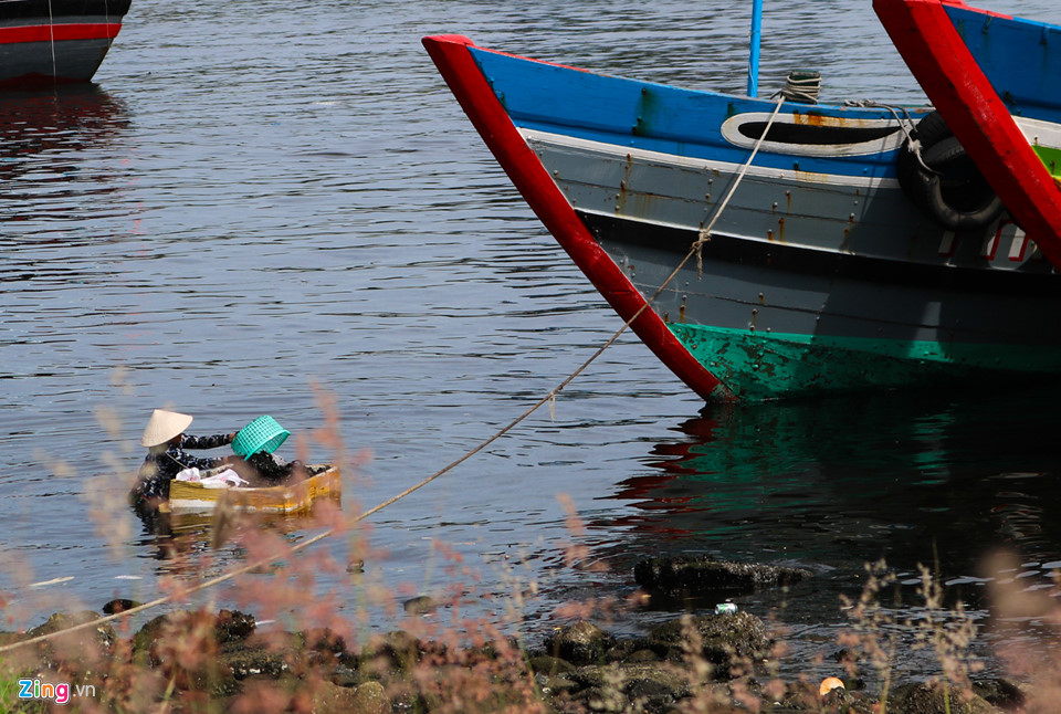 Cảng cá lớn nhất miền Trung nồng nặc mùi hôi thối