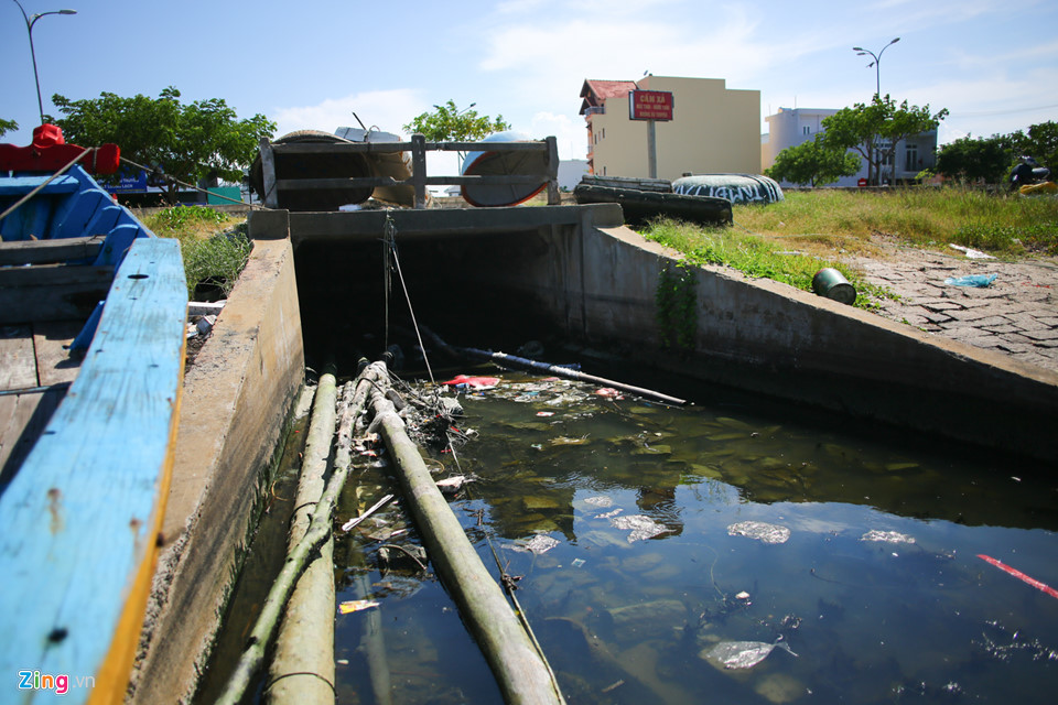 Cảng cá lớn nhất miền Trung nồng nặc mùi hôi thối