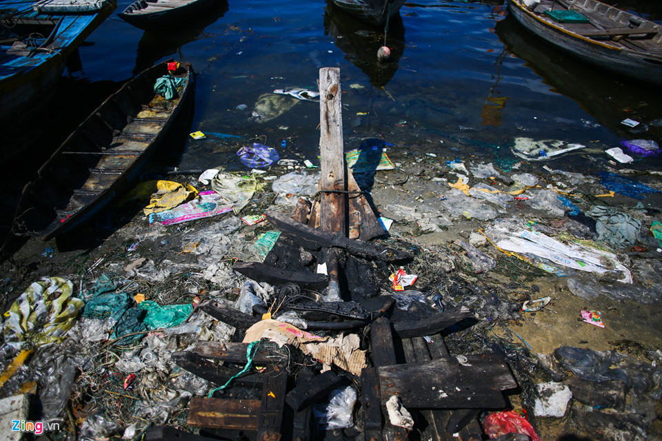 Cảng cá lớn nhất miền Trung nồng nặc mùi hôi thối