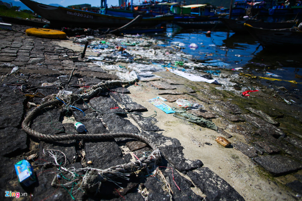 Cảng cá lớn nhất miền Trung nồng nặc mùi hôi thối