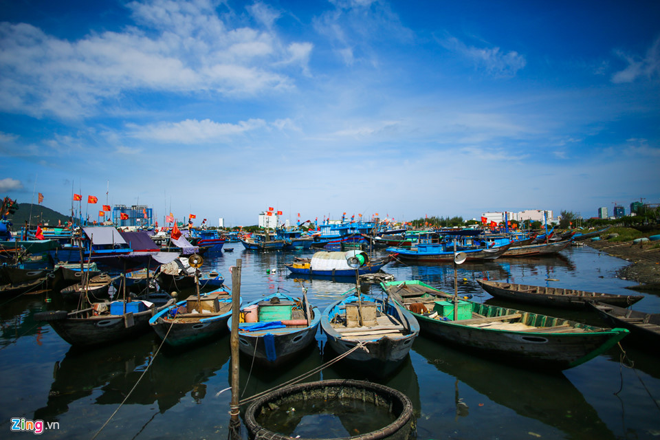 Cảng cá lớn nhất miền Trung nồng nặc mùi hôi thối