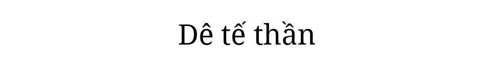 Đoàn Thị Hương: Số phận nào cho ngày tuyên án?
