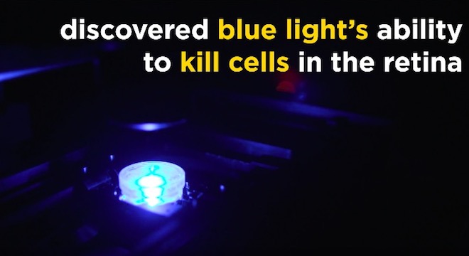 Khoa học đã biết tại sao ánh sáng xanh gây mù lòa