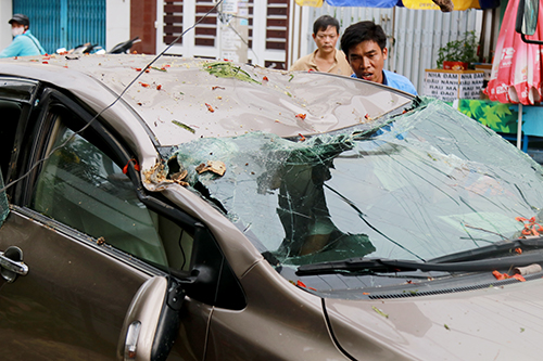 Cây phượng bật gốc, đè ôtô trên phố Nha Trang