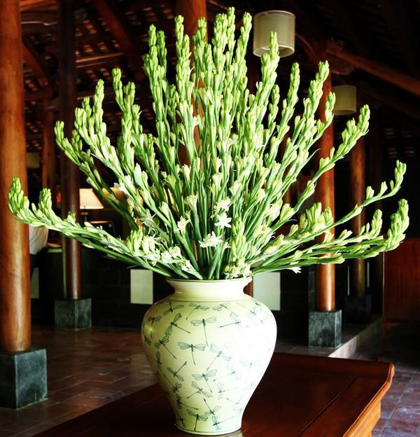 Những loại hoa nên và không nên cắm trên bàn thờ kẻo rước họa vào nhà