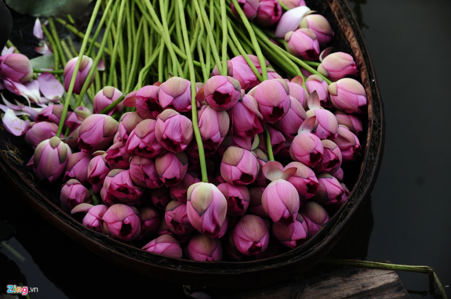 Những loại hoa nên và không nên cắm trên bàn thờ kẻo rước họa vào nhà