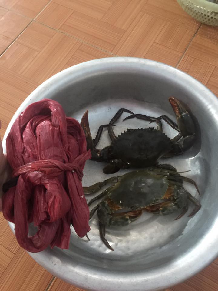 Bầu bí không đi xa được nên nhờ ship hàng đến nhà, bà bầu khóc thét khi 1kg cua biển mất tới 5 lạng dây buộc ngâm nước
