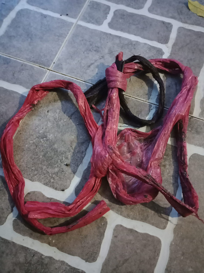 Bầu bí không đi xa được nên nhờ ship hàng đến nhà, bà bầu khóc thét khi 1kg cua biển mất tới 5 lạng dây buộc ngâm nước Bầu bí không đi xa được nên nhờ ship hàng đến nhà, bà bầu khóc thét khi 1kg cua biển mất tới 5 lạng dây buộc ngâm nước