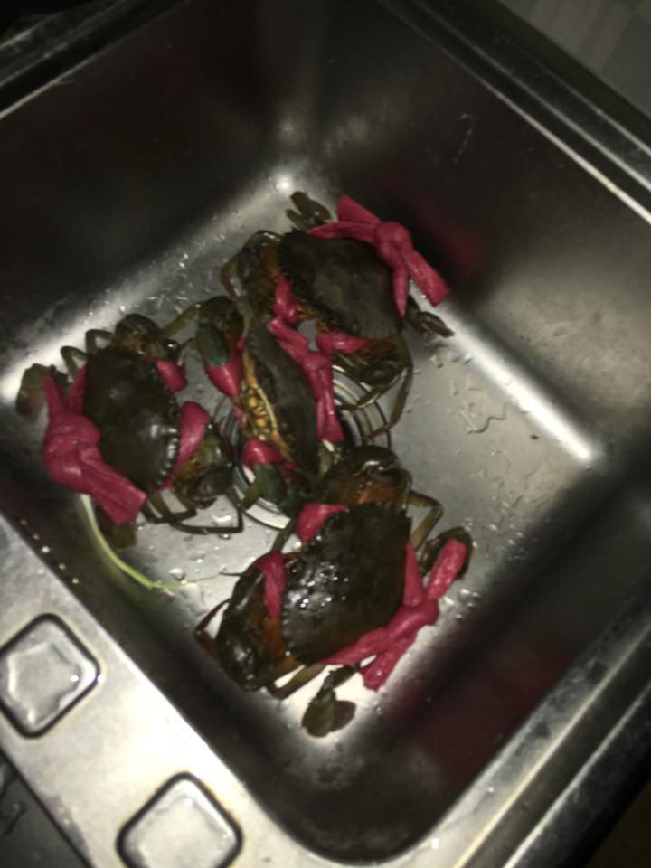 Bầu bí không đi xa được nên nhờ ship hàng đến nhà, bà bầu khóc thét khi 1kg cua biển mất tới 5 lạng dây buộc ngâm nước Bầu bí không đi xa được nên nhờ ship hàng đến nhà, bà bầu khóc thét khi 1kg cua biển mất tới 5 lạng dây buộc ngâm nước