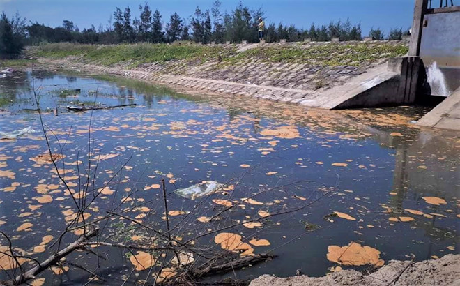 Bị phạt hơn 400 triệu đồng vì xả nước thải bẩn