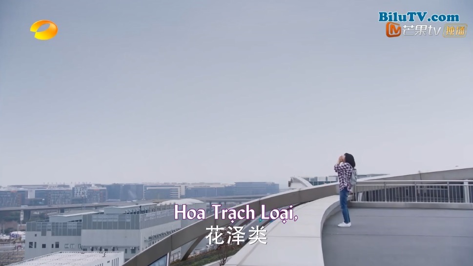 Phim Vườn sao băng 2018 tập 33-34: A Tự đồng ý lén lút yêu đương cùng Sam Thái, Hoa Trạch Loại bỏ đi xa