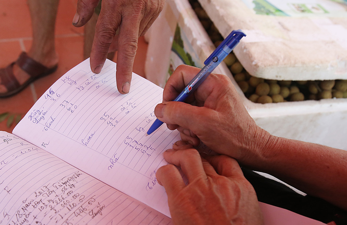 Người dân Hưng Yên vào mùa thu hoạch nhãn