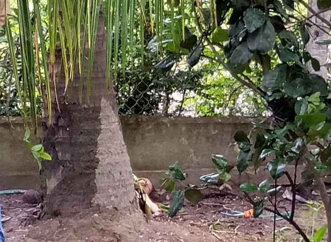 Công an khoanh vùng, truy bắt thủ phạm gây ra vụ thảm án 3 người chết ở Tiền Giang