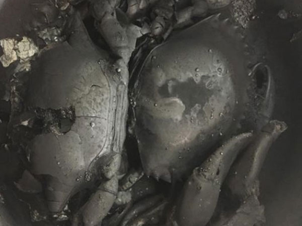 Vừa nấu ăn vừa lướt Facebook, cô nàng hỏa thiêu luôn mấy con cua biển, dân mạng thi nhau đặt tên món thật kêu