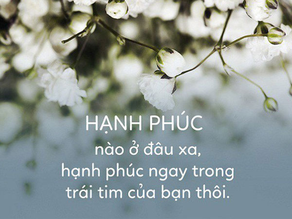 Thứ Tư của bạn (15/8): Bọ Cạp nhận vô số lời khen