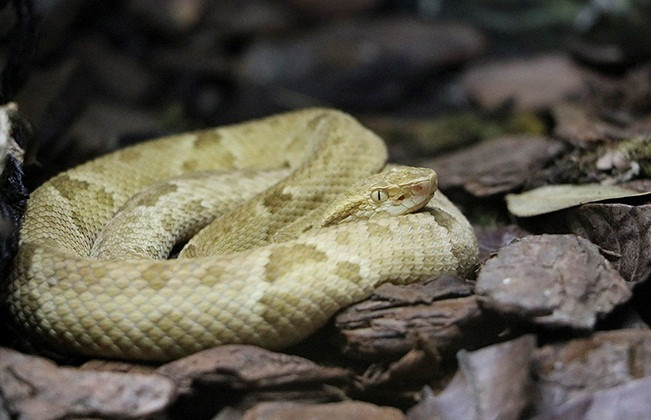 Bí mật khó tin ở những vùng đất kỳ bí nhất hành tinh