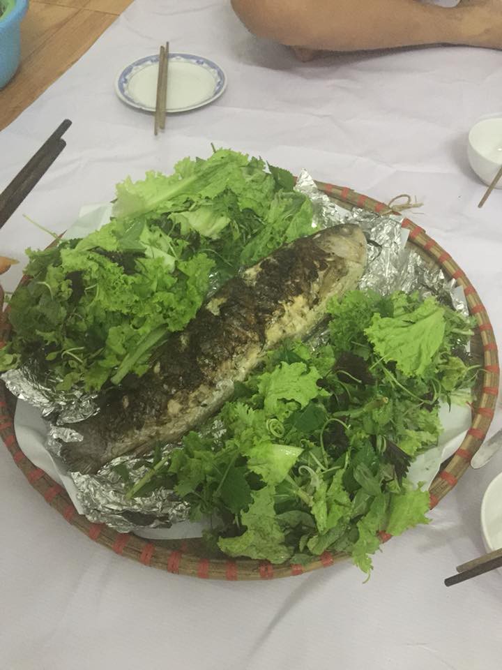 Mua từ chợ về nuôi để có cá sạch cho gia đình ăn cả tháng, chồng hô biến mâm cơm rặt cá chỉ sau một đêm