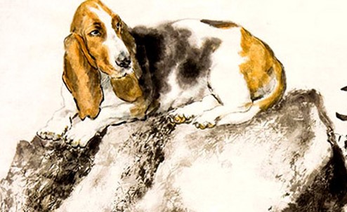 Nhà phong thủy tiết lộ độ tuổi gặp ĐẠI HẠN, trắng tay bần cùng của 12 con giáp, hãy cố gắng vượt qua