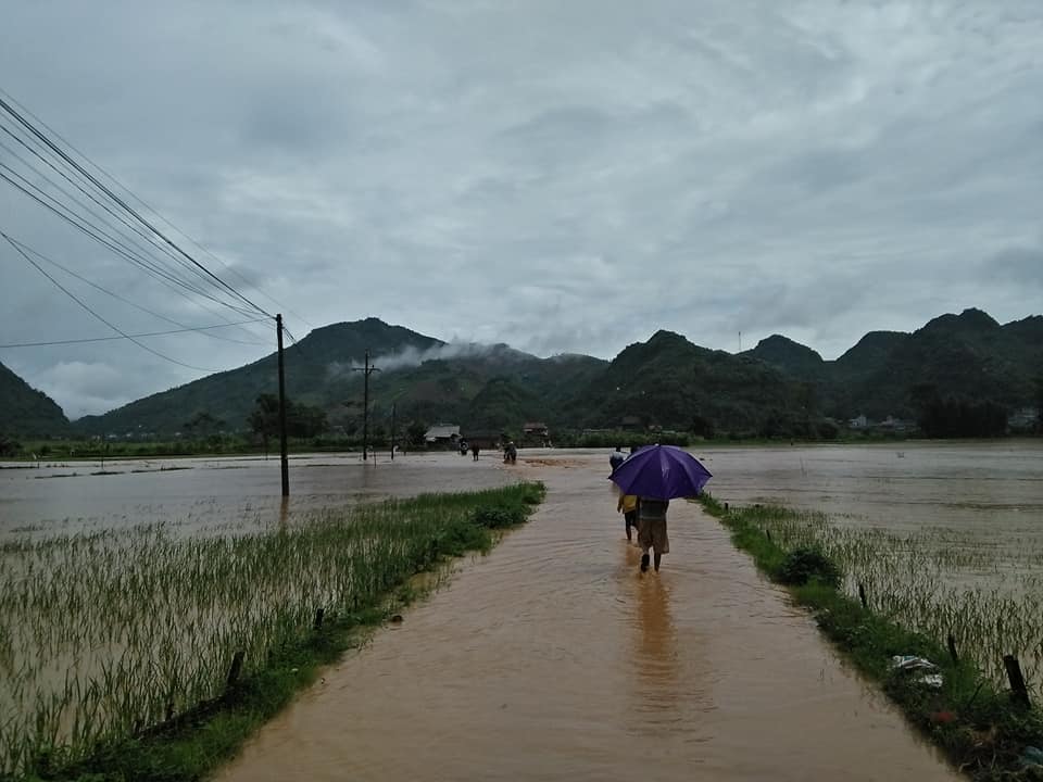 Sơn La: Mưa lớn gây lũ quét cuốn trôi hoa màu, tài sản của dân