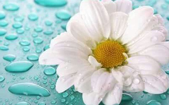 Thứ Năm của bạn (16/8): Sư Tử cẩn thận thị phi