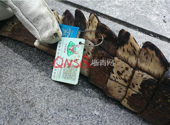 Đặt mua thực phẩm chức năng trên mạng, người phụ nữ nhận được một con cá sấu ship đến tận cửa nhà