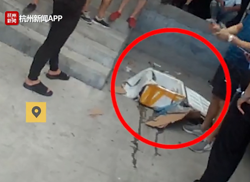 Đặt mua thực phẩm chức năng trên mạng, người phụ nữ nhận được một con cá sấu ship đến tận cửa nhà