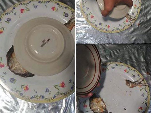 Được bạn cùng phòng phần nguyên con cá, thanh niên hí hửng xuống ăn và cái kết khiến nhiều người bật cười