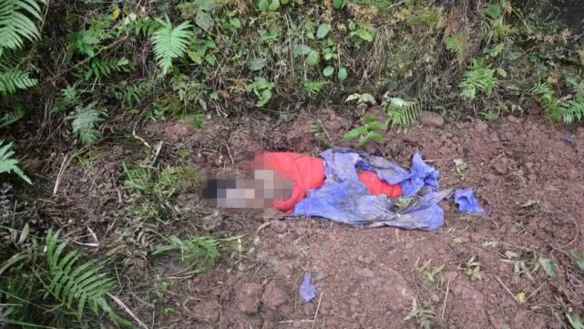 Ra ruộng xới đất, bà nội kinh hoàng đào được thi thể của cháu trai, vạch trần tội ác không thể dung thứ của con trai mình Ra ruộng xới đất, bà nội kinh hoàng đào được thi thể của cháu trai, vạch trần tội ác không thể dung thứ của con trai mình