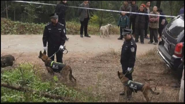 Ra ruộng xới đất, bà nội kinh hoàng đào được thi thể của cháu trai, vạch trần tội ác không thể dung thứ của con trai mình Ra ruộng xới đất, bà nội kinh hoàng đào được thi thể của cháu trai, vạch trần tội ác không thể dung thứ của con trai mình