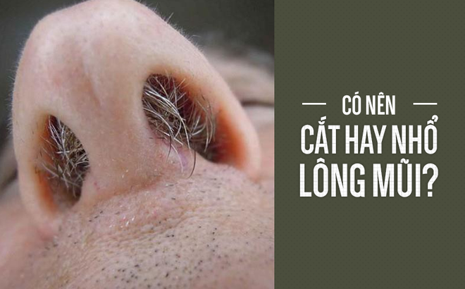 Thói quen cắt, nhổ lông mũi có hại hay vô hại: BS Mỹ giải thích cực chuẩn, ai cũng phục