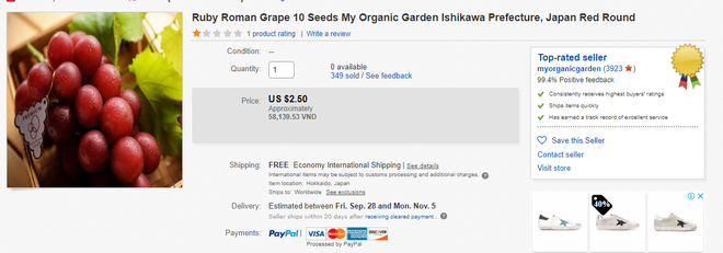 Điều gì khiến nho Nhật bán 11 triệu đồng/chùm vẫn cháy hàng sau một đêm về đến Sài Gòn?