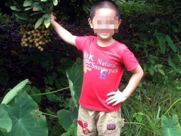 Phép màu đã không mỉm cười với cậu bé 7 tuổi bị nhiễm trùng máu, suy đa tạng ở Hà Nội