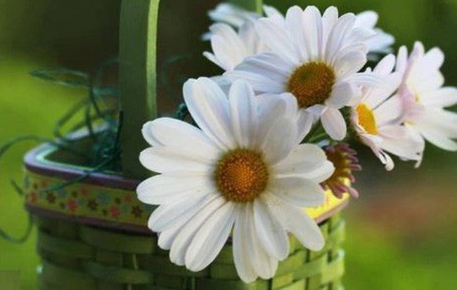 Thứ Bảy của bạn (18/8): Xử Nữ cần bình tĩnh lại