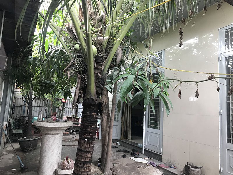 Chuyện về căn nhà ở Sài Gòn có 9 người chết bí ẩn