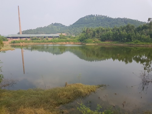 Cá chết hàng loạt gần khu vực bãi rác ở Hà Nội