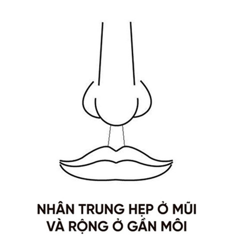 Người có đường nhân trung thế này thì chẳng cần vất vả tài vận cũng tự tìm đến, sống an nhàn suốt đời