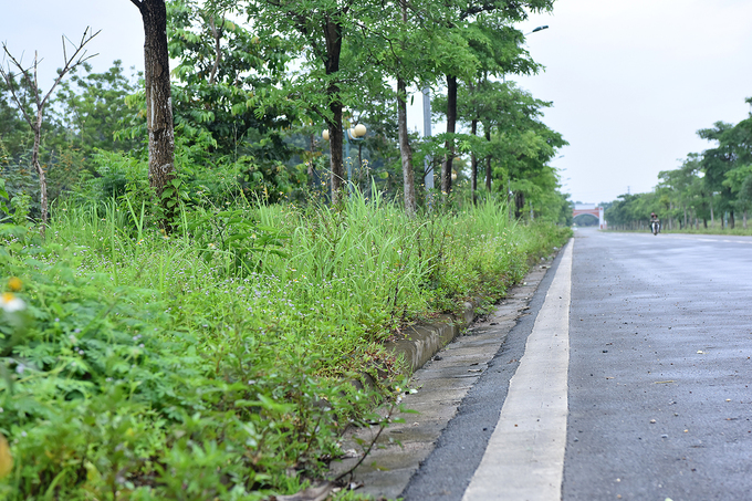 Dự án Đại học Quốc gia Hà Nội 15 năm sau khởi công