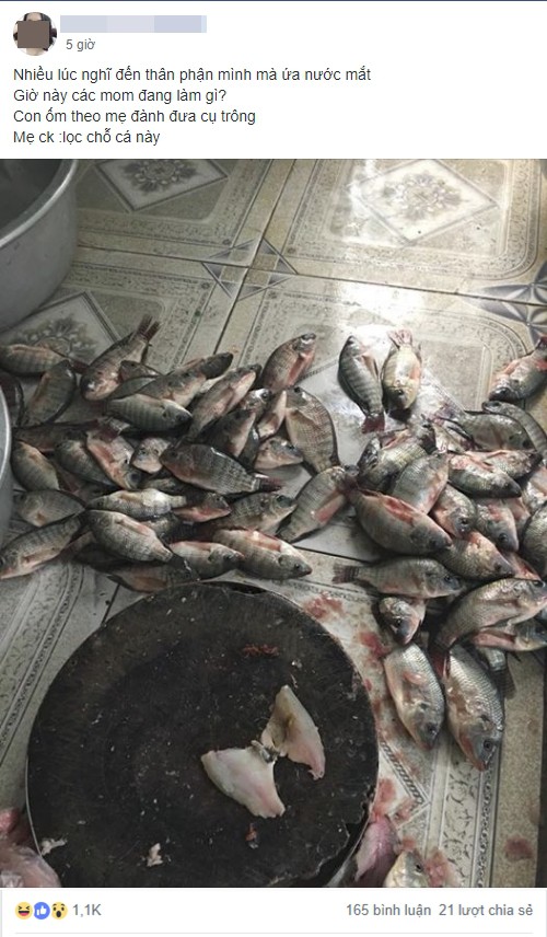 Nàng Tấm phiên bản 2018: Đang ốm lả người vẫn bị mẹ chồng bắt lọc mấy chục cân cá rô phi mới được nghỉ