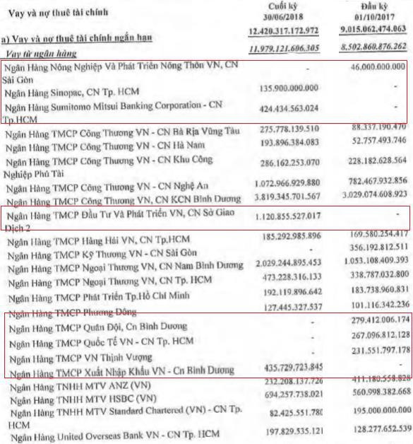 Hoa Sen Group vay nợ 16.000 tỷ, gấp hơn 4 lần vốn chủ: Thế chủ động hay cơn bĩ cực của ông trùm tôn Việt?