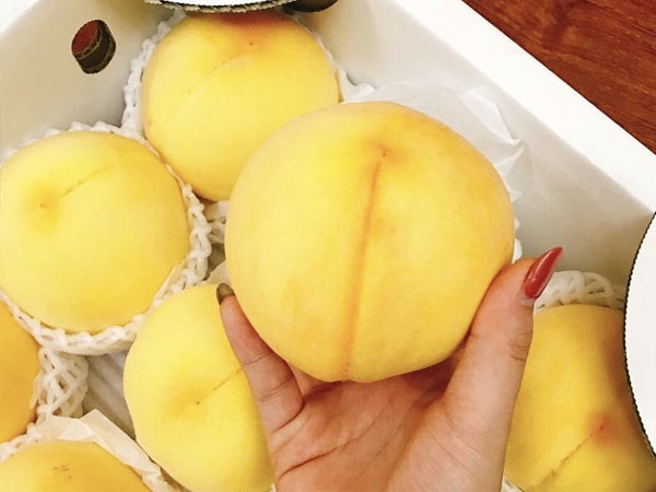 Vu lan báo hiếu: Kính bố mẹ cặp đào vàng mặt trời mọc giá tiền triệu