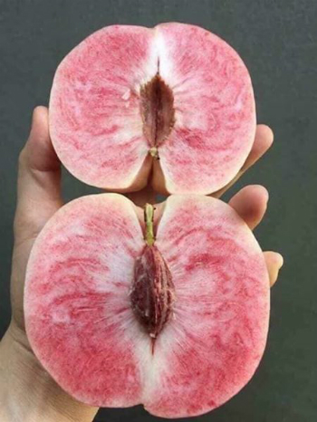 Đào Tôn Ngộ Không xách tay giá cao gấp 5 lần hàng chợ