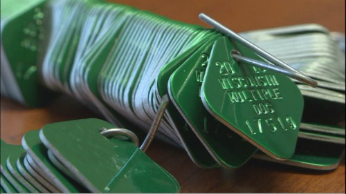 Chó ở Mỹ vạ lây vì cuộc chiến thương mại của ông Trump