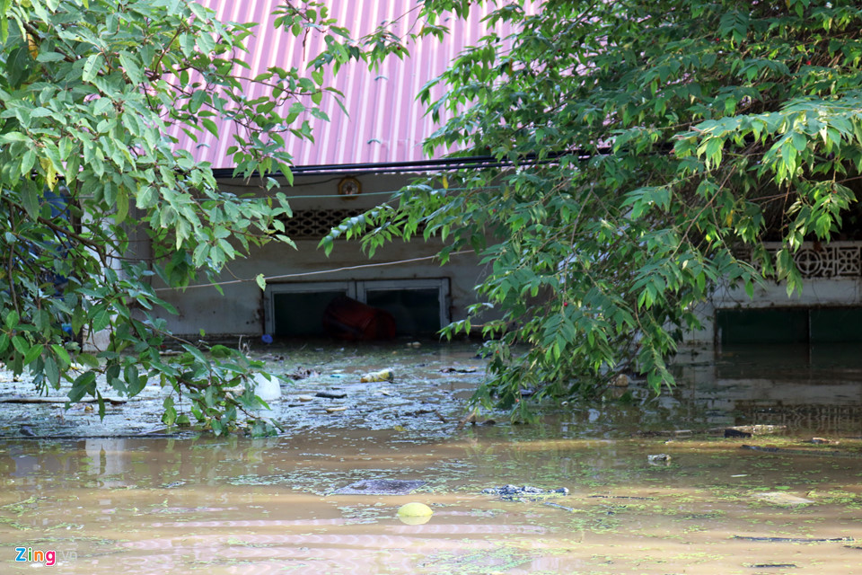 Người dân xứ Nghệ gồng mình đối phó với lũ lụt kéo dài
