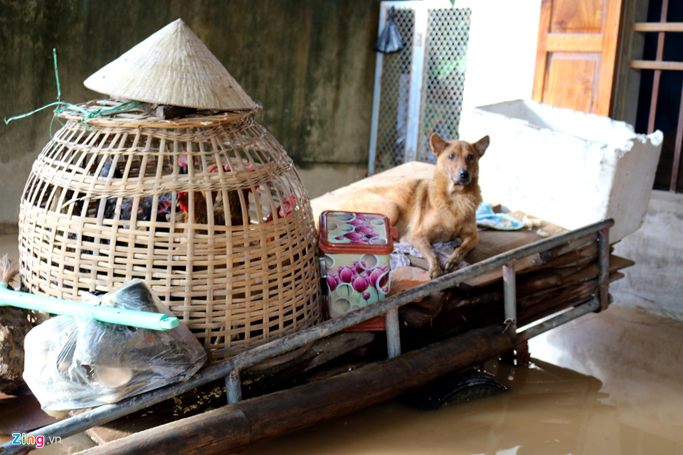 Người dân xứ Nghệ gồng mình đối phó với lũ lụt kéo dài