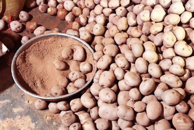 Lật tẩy mánh khóe của chủ cơ sở nông sản phù phép khoai Tây Trung Quốc thành khoai tây Đà Lạt