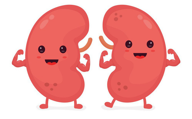 8 loại thực phẩm ngon, bổ, rẻ là bạn thân của thận: Ăn càng nhiều, thận càng khỏe