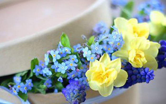 Thứ Tư của bạn (22/8): Sư Tử có một ngày rực rỡ