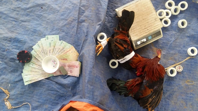 Triệt xóa tụ điểm cờ bạc, tạm giữ 17 đối tượng